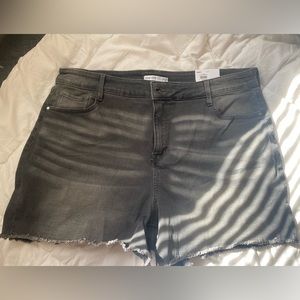 Nine West Shorts Size 18